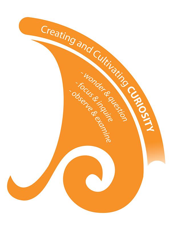 Ormison Curiosity Icon